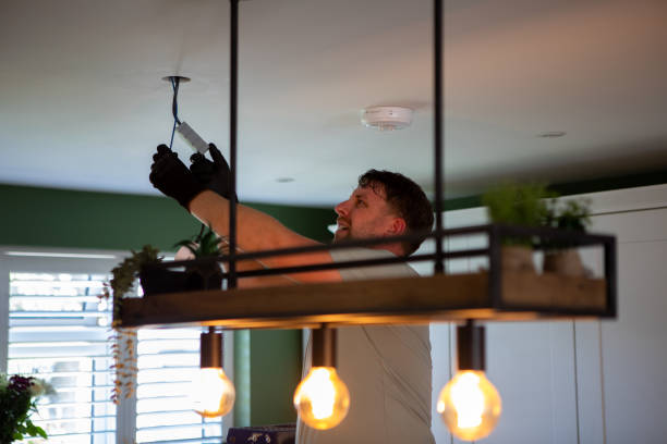 Best Electric Panel Repair  in Highlands, NC